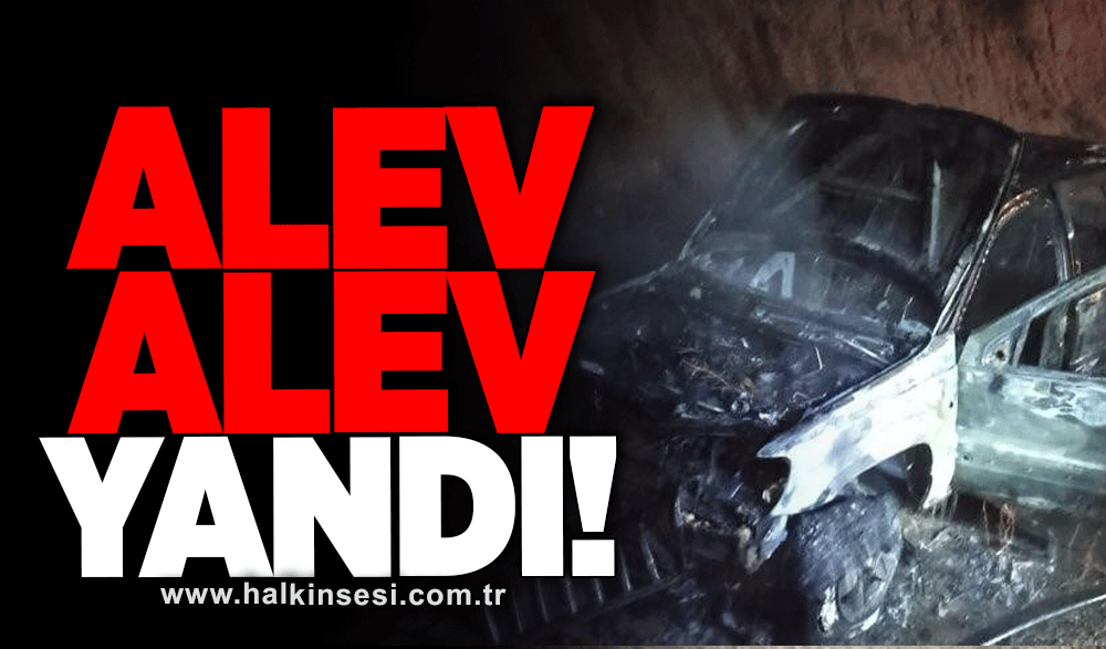 Seyir halindeyken alev alev yandı!