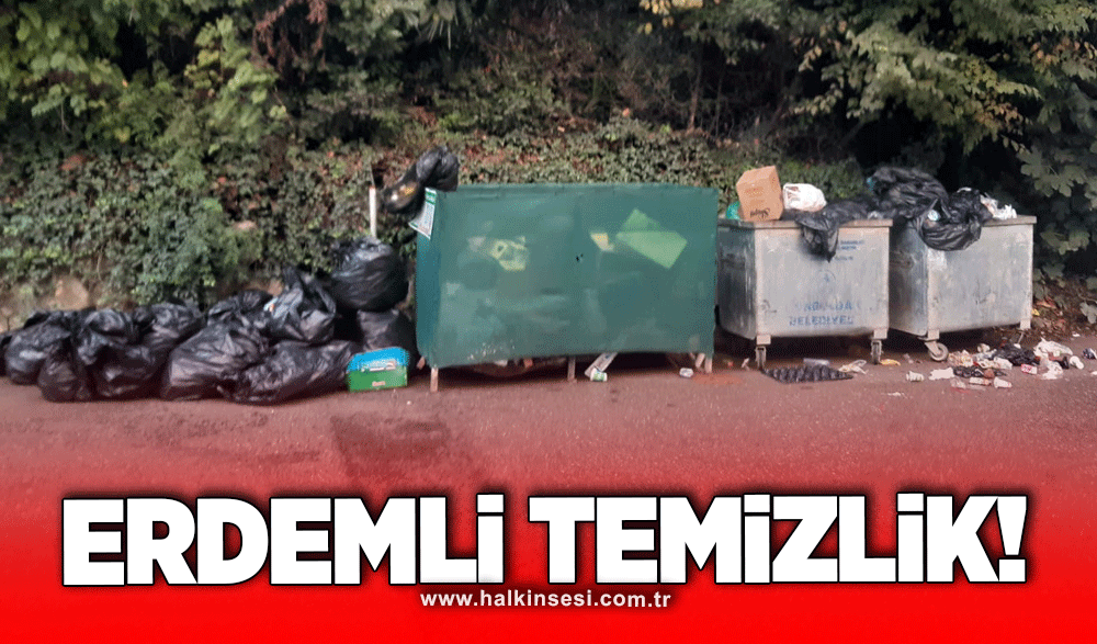 Erdemli temizlik!