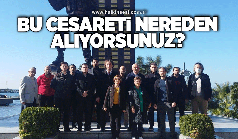 “Bu Cesareti Nereden Alıyorsunuz?”