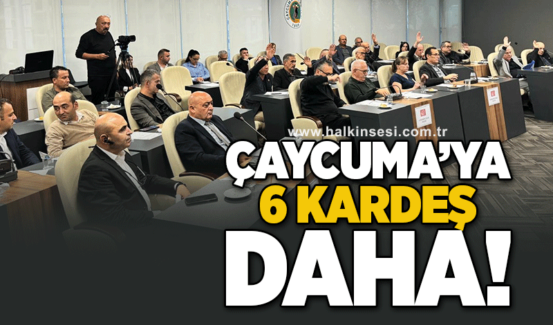 Çaycuma’ya 6 kardeş daha