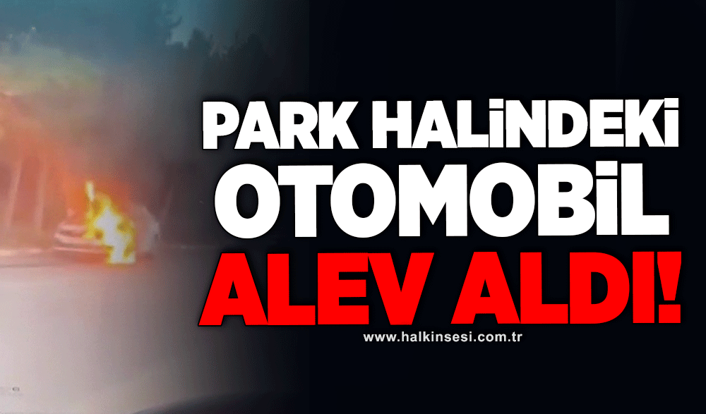 Park halindeki otomobil alev aldı