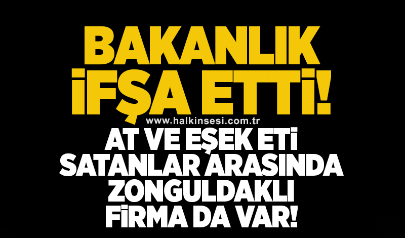 Bakanlık ifşa etti: At ve Eşek eti satanlar arasında Zonguldaklı firma da var