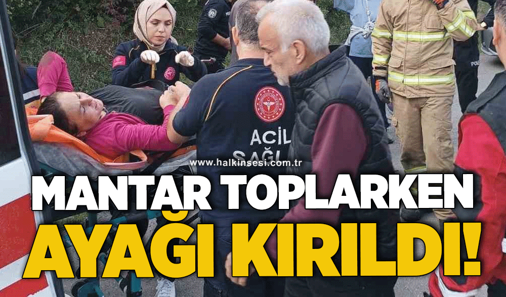 Mantar toplarken ayağı kırılan kadını ekipler kurtardı