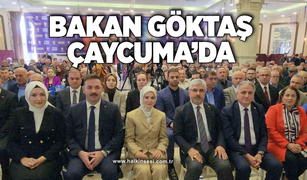 Bakan Göktaş Çaycuma'da!