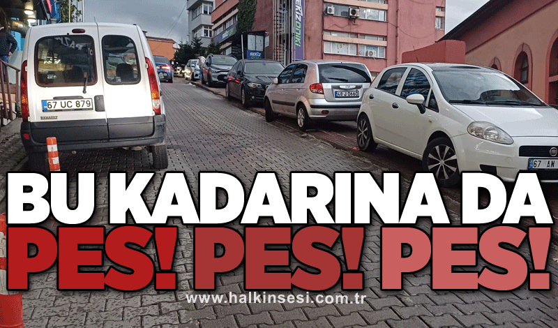 Bu kadarına da pes! Pes! Pes!