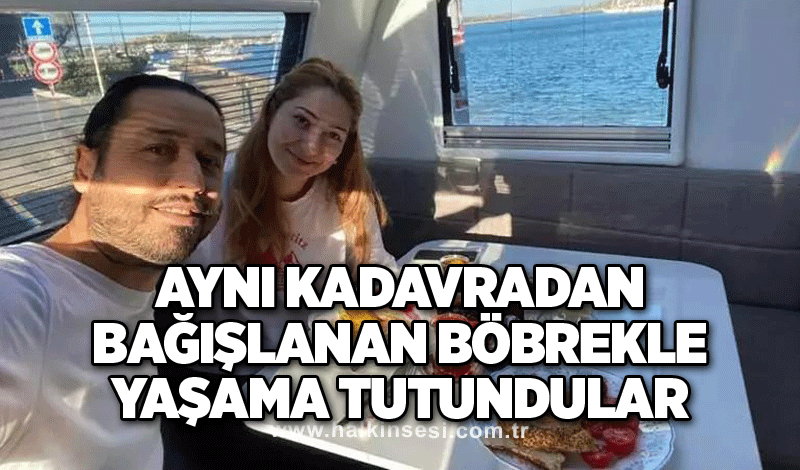 Aynı kadavradan bağışlanan böbrekle yaşama tutundular