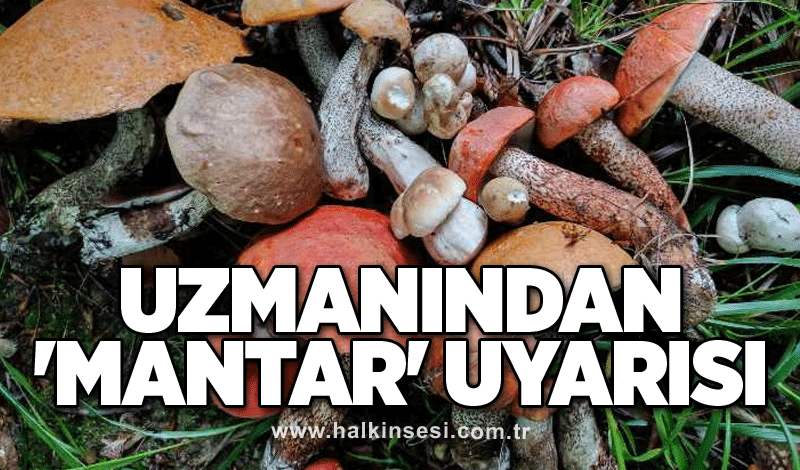 Uzmanından 'mantar' uyarısı