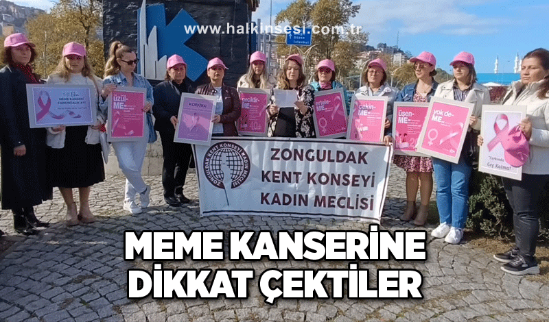 Meme kanserine dikkat çektiler