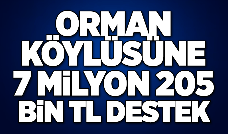 Orman köylüsüne 7 milyon 205 bin TL destek