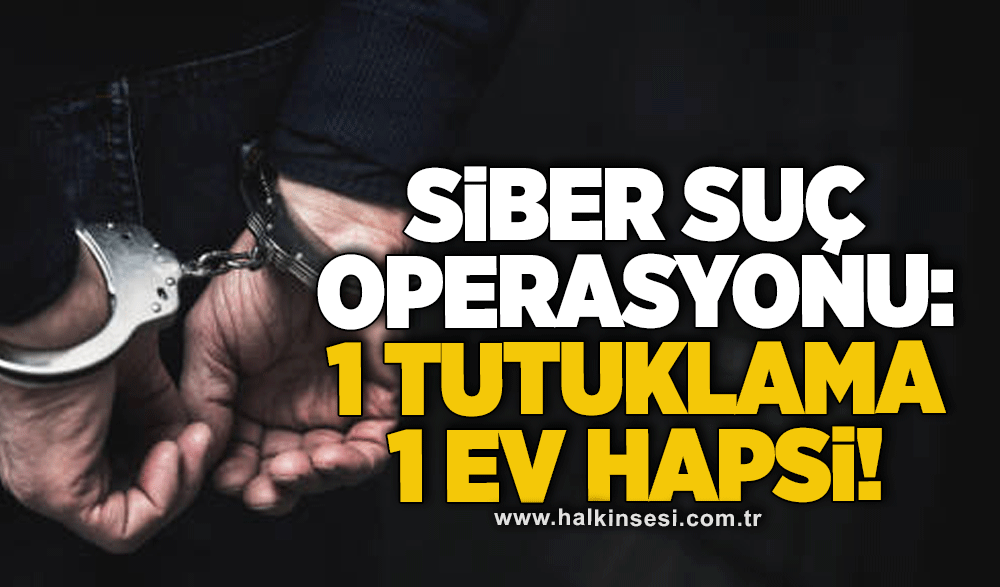 Siber suç operasyonu: 1 tutuklama, 1 ev hapsi