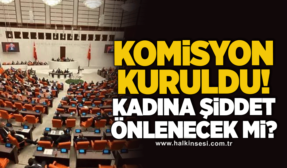 Kadınlara yönelik şiddet ve ayrımcılığın önlenmesine ilişkin komisyon kuruldu