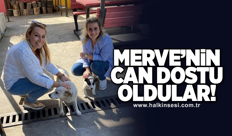 Merve’nin can dostu oldular