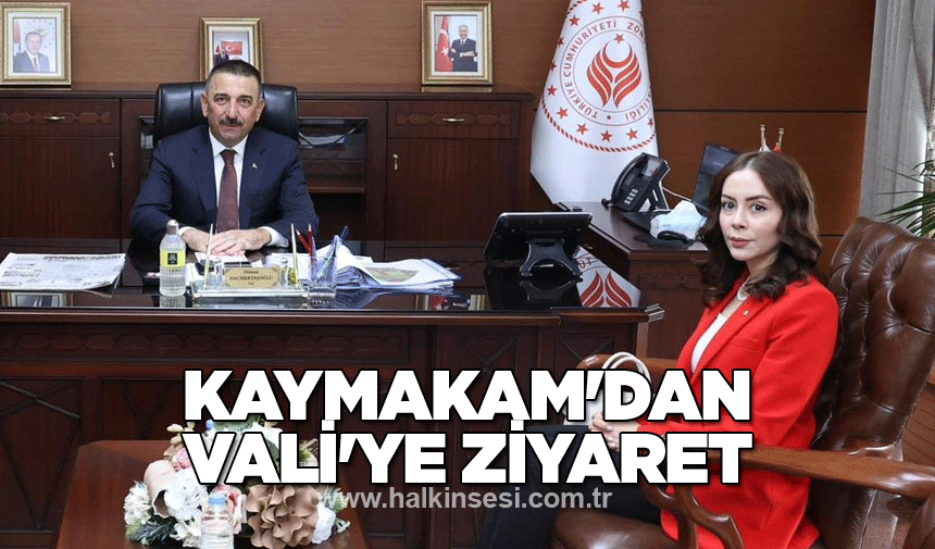 Kaymakam'dan Vali'ye ziyaret