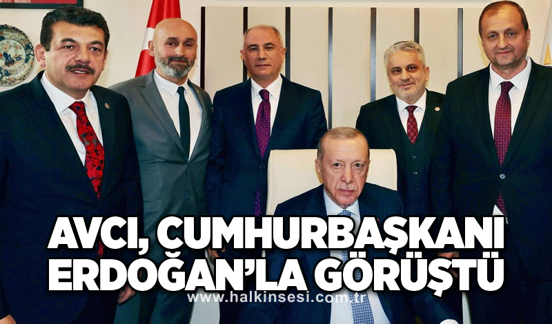 Avcı, Cumhurbaşkanı Erdoğan’la görüştü