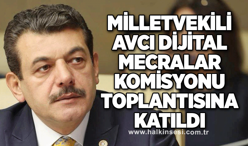 MİLLETVEKİLİ AVCI DİJİTAL MECRALAR KOMİSYONU TOPLANTISINA KATILDI