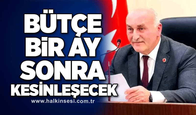 Bütçe bir ay sonra kesinleşecek