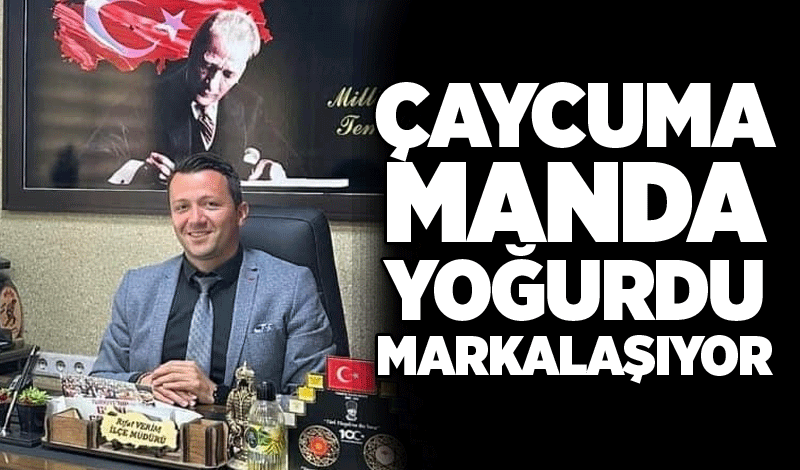 Coğrafi işaretli Çaycuma manda yoğurdu markalaşıyor