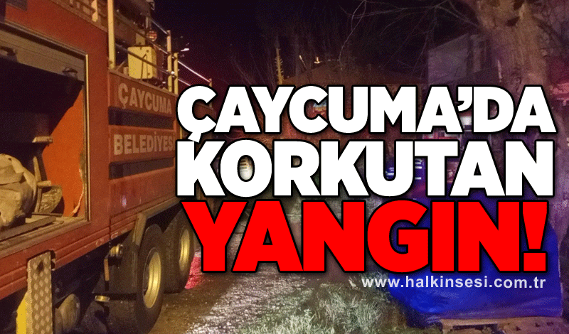 Çaycuma'da korkutan yangın!