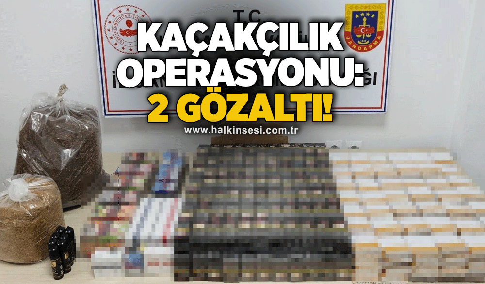 Kaçakçılık operasyonu: 2 gözaltı