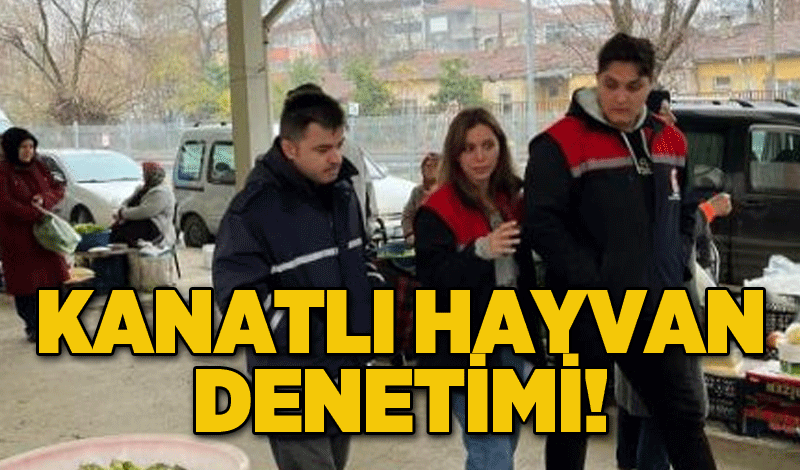 Kanatlı hayvan denetimi!