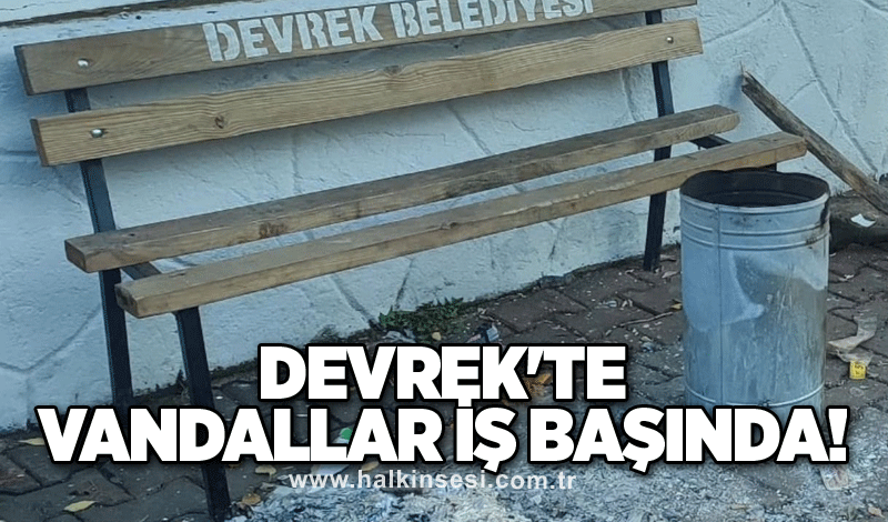 Devrek'te vandallar iş başında!