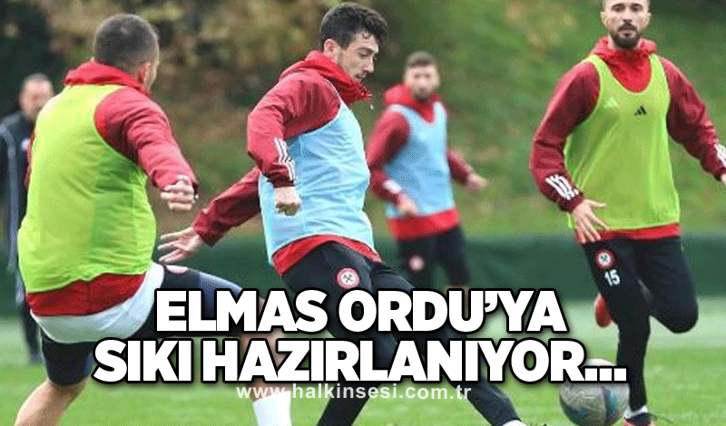 Elmas Ordu’ya sıkı hazırlanıyor…