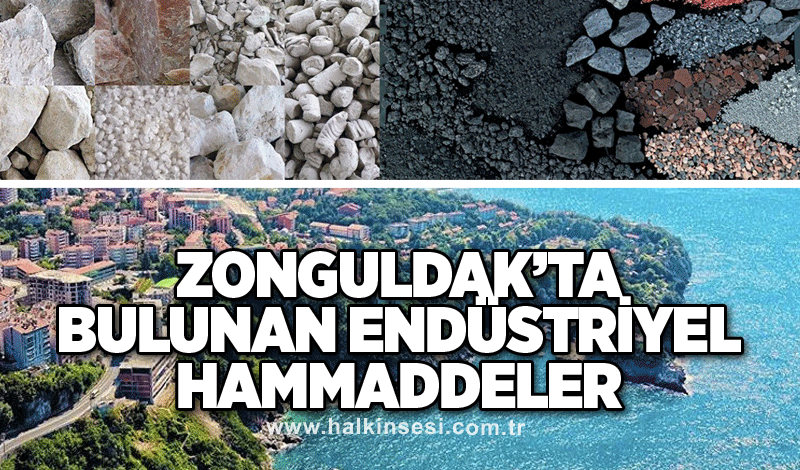 ZONGULDAK’TA BULUNAN ENDÜSTRİYEL HAMMADDELER