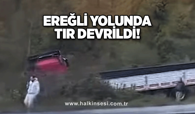 Tır ormanlık alana devrildi