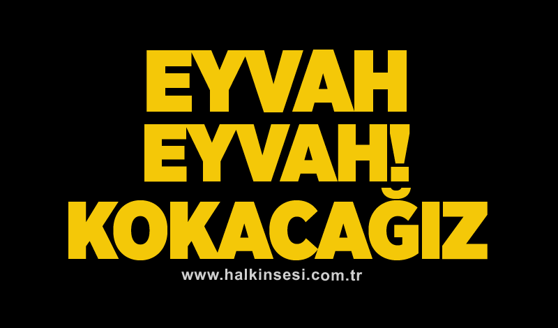 Eyvah eyvah! Kokacağız