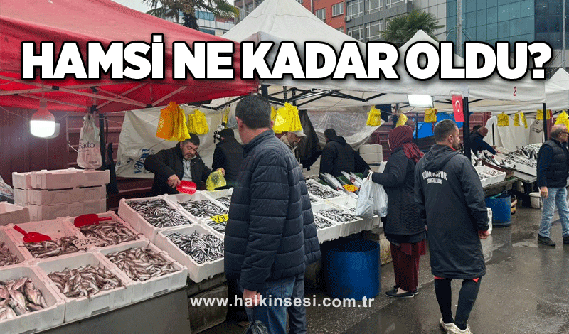 Hamsi ne kadar oldu?