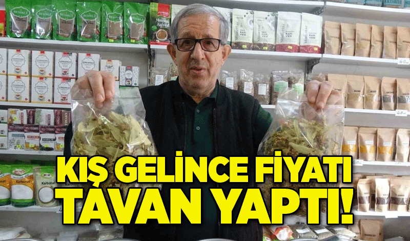 Kış gelince fiyatı tavan yaptı!