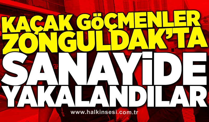 Kaçak göçmenler Zonguldak'ta! Sanayide yakalandılar