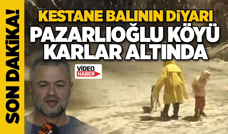 Kestane balının diyarı Pazarlıoğlu Köyü karlar altında!