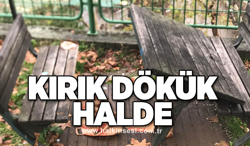 Kırık dökük halde