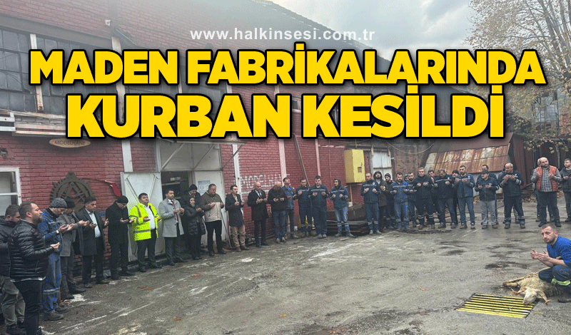 Maden fabrikalarında kurban kesildi