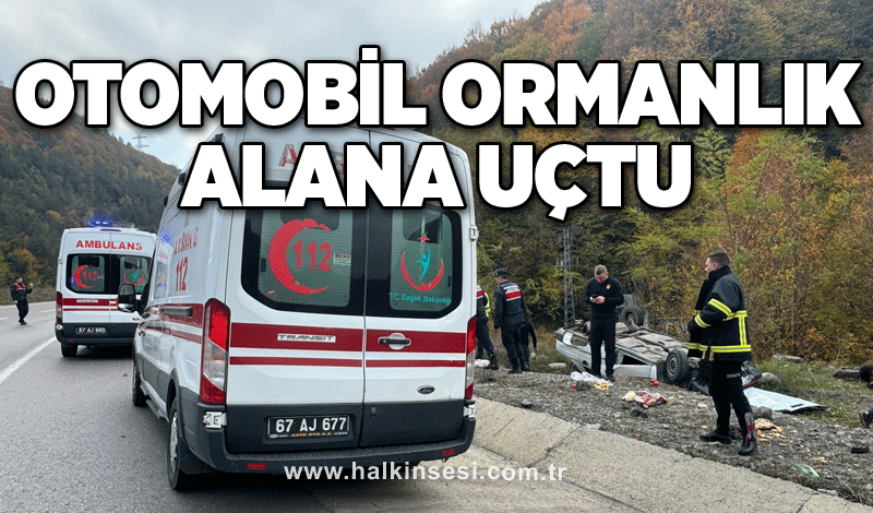 Otomobil ormanlık alana uçtu