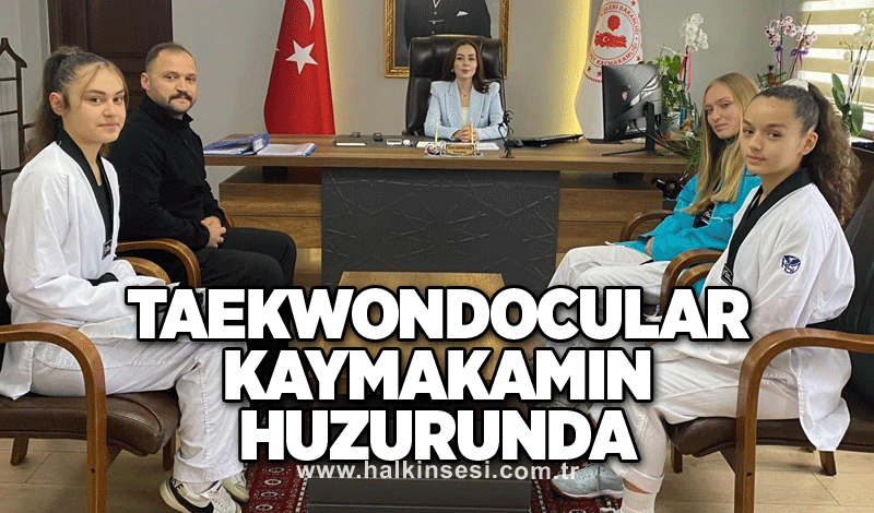 Taekwondocular Kaymakamın huzurunda