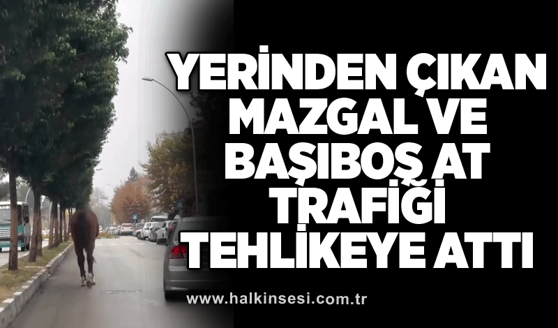 Yerinden çıkan mazgal ve başıboş at trafiği tehlikeye attı