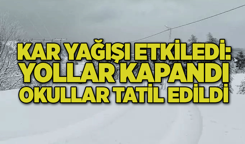 Kar yağışı etkiledi: Yollar kapandı, okullar tatil edildi