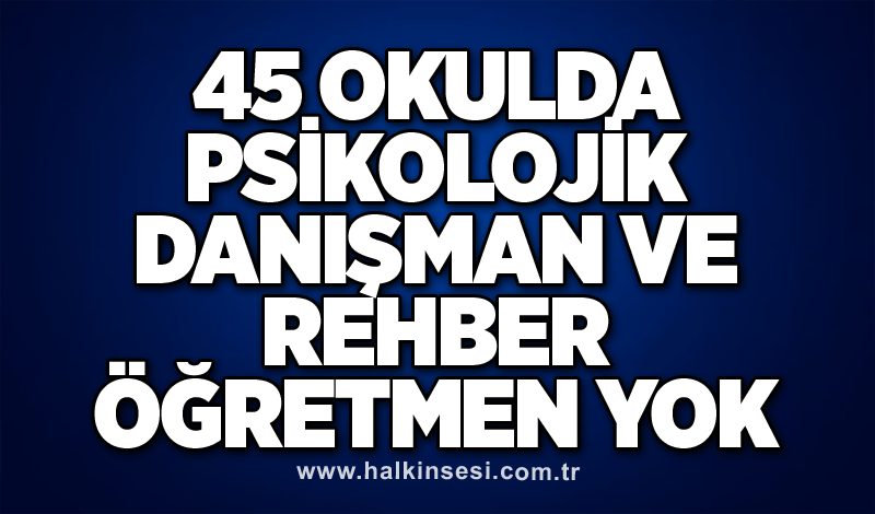 45 Okulda Psikolojik Danışman ve Rehber Öğretmen Yok