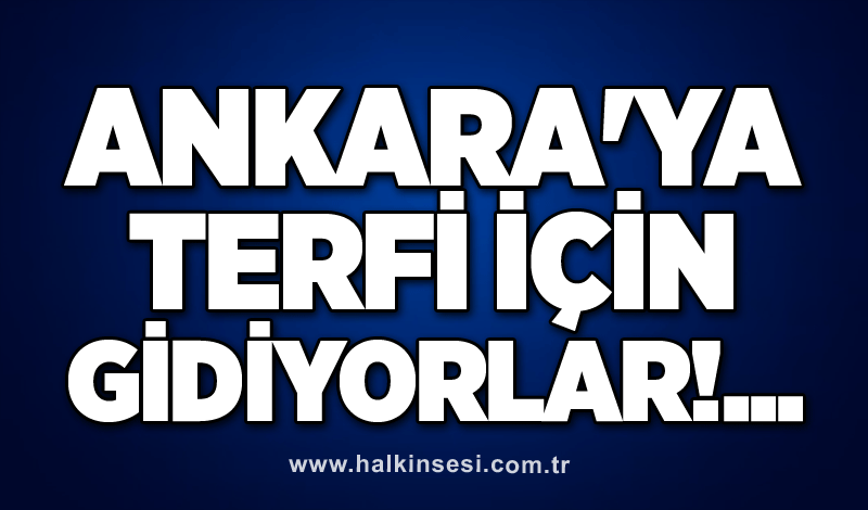 Ankara'ya terfi için gidiyorlar!...