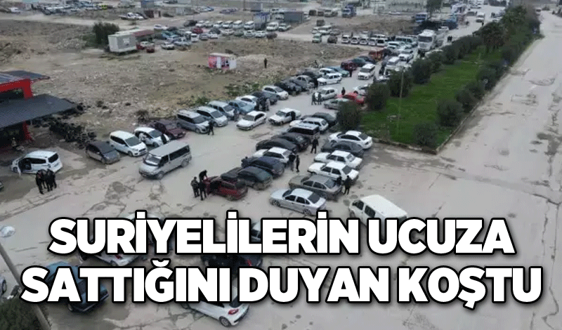 Suriyelilerin ucuza sattığını duyan koştu