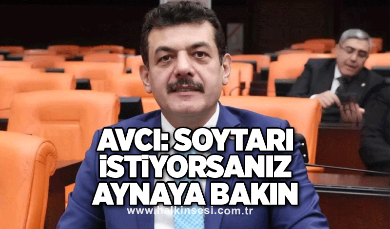 Avcı: Soytarı istiyorsanız aynaya bakın