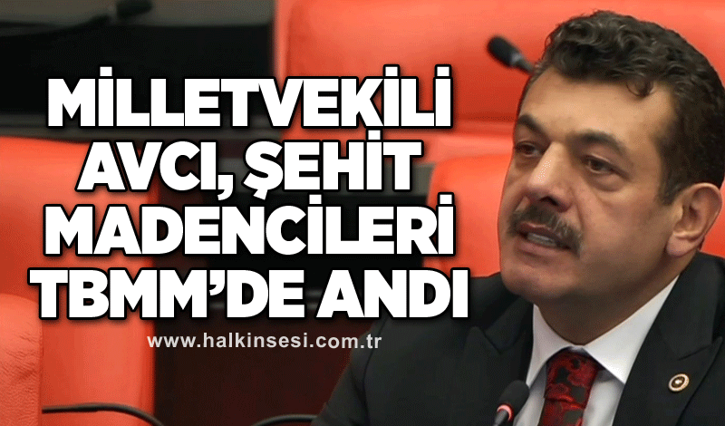 Milletvekili Avcı, Şehit Madencileri TBMM’de Andı