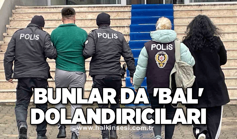 Bunlar da 'bal' dolandırıcıları