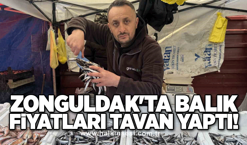 Zonguldak'ta balık fiyatları tavan yaptı!