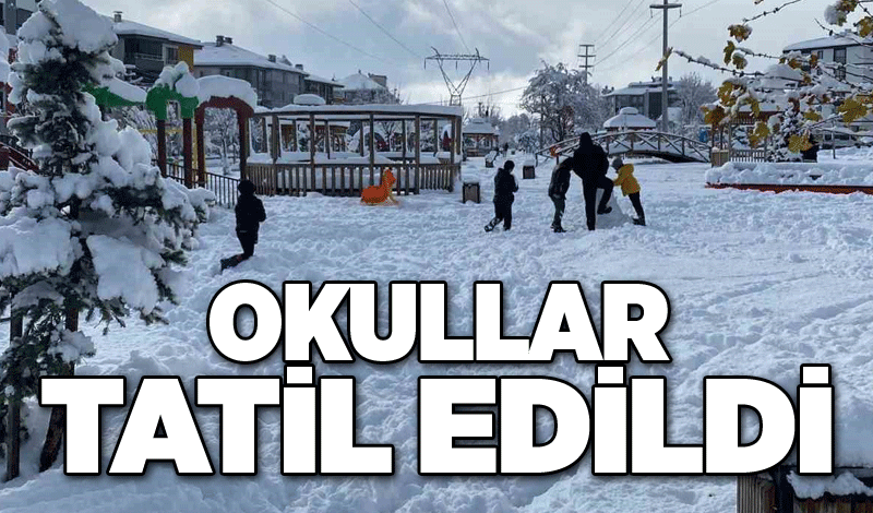 Bolu’da 4 ilçede kar tatili