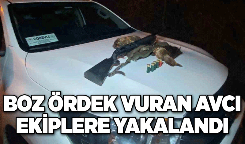 Boz ördek vuran avcı ekiplere yakalandı