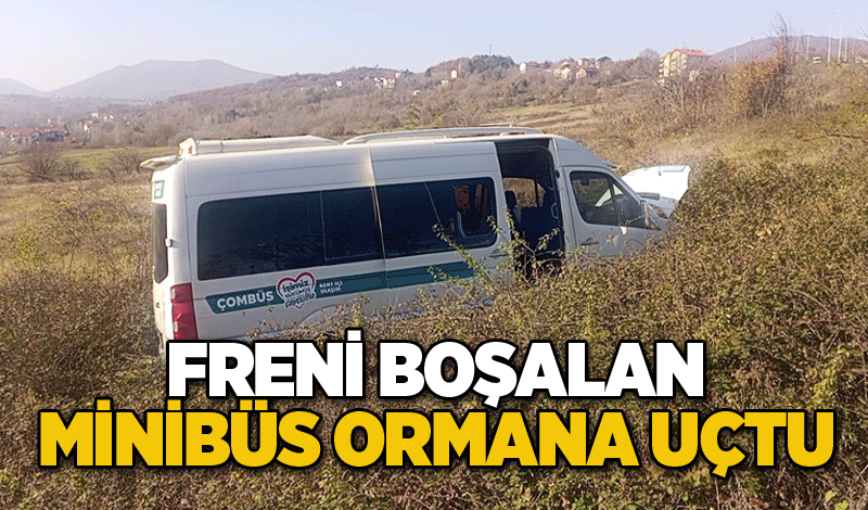 Çaycuma'da freni boşalan minibüs ormana uçtu