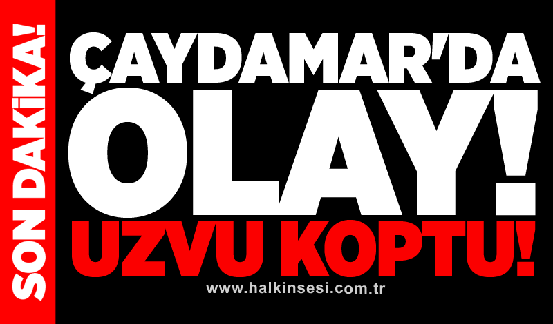 Çaydamar'da olay! Uzvu koptu!